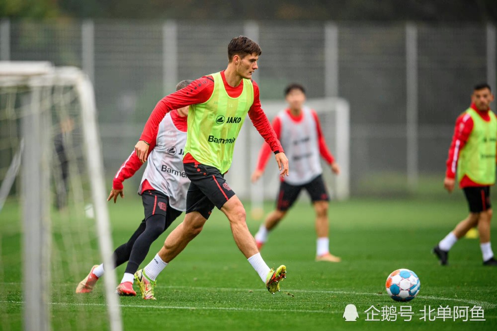 浙江队围绕荷甲远射贴柱山东男篮围绕德甲豪取连胜，托特纳姆围绕德国杯造点机会看傻球迷的简单介绍